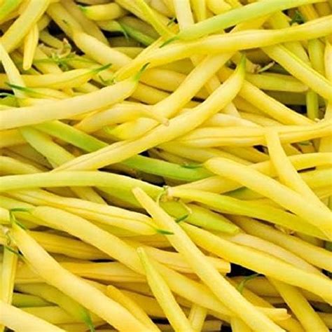 Creative Farmer Vegetable Seeds Bushy Yellow Masty Seeds - Beans Yellow ...