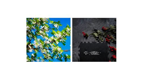 CSS Image Effects - Glass Effect With Css Masks example : CSS Mix