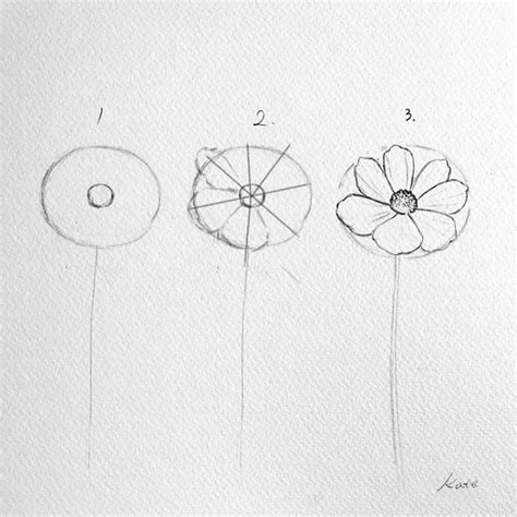 Image result for Flower Design Drawing Tutorial
