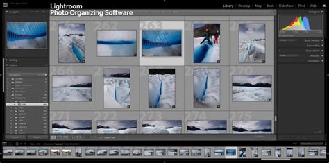 Image result for Photo Sorting Software