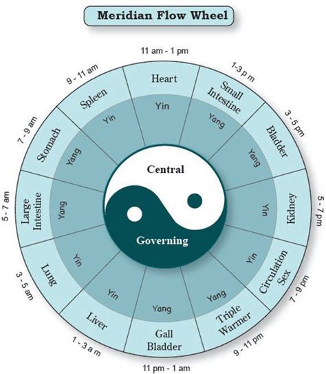 Chinese Medicine Wheel Times Explained