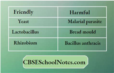 Image result for Class 8 Science Chapter 2