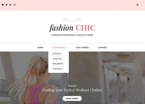 Chic Lite WordPress Theme 的图像结果