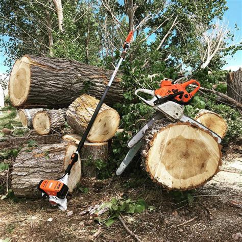 Image result for Tree Logging Service