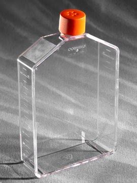 Corning cell culture flasks surface area 225 cm2, angled neck, cap ...