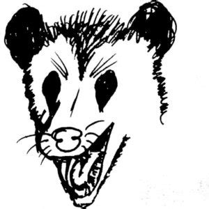 cropped-tacuache.jpg - Mark Weber y Los Cuernos