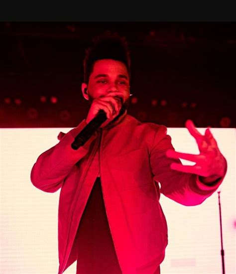 Pin by XO on The Weeknd | The weeknd, Singer, Concert