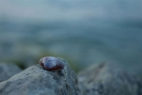 Image result for Shell Script 4K Images