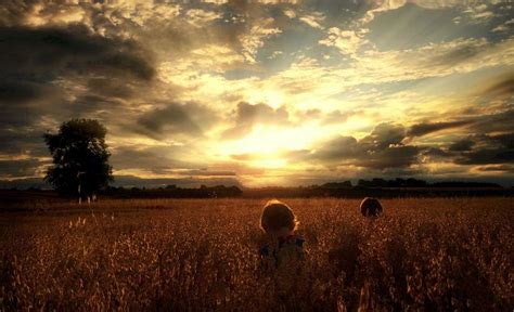 Image result for IPhone Photography Tutorial