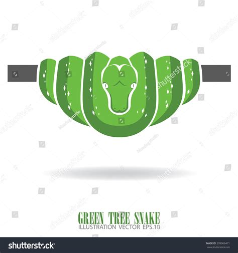 Green Tree Python Teeth 的图像结果