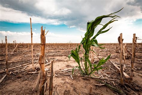 Top 10 Myths About Climate Change - College of Climate Change