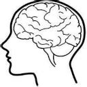 India Pathology dataset (IPD)