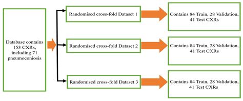 Detection and Visualisation of Pneumoconiosis Using an Ensemble of ...