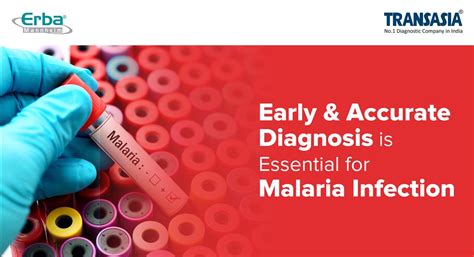 Blog - Early & Accurate Diagnosis is Essential for Malaria Infection ...