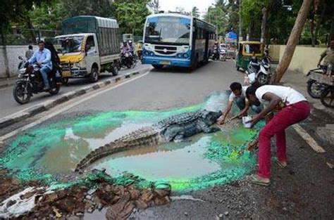 Bengaluru residents find a 'crocodile' on a busy road | Bengaluru News ...