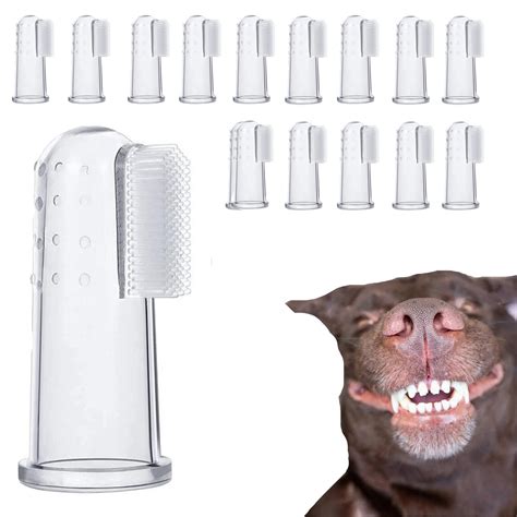 Are Dogs Tongues Cleaner at Lisa Hawke blog