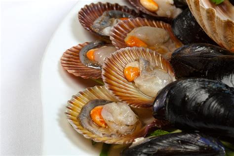 Image result for Clamshell Phone