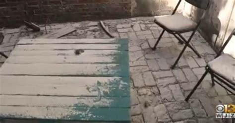 Image result for Flour Mills Exploding