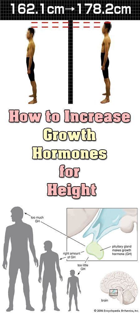 How to Increase Growth Hormones for Height | Increase height exercise ...