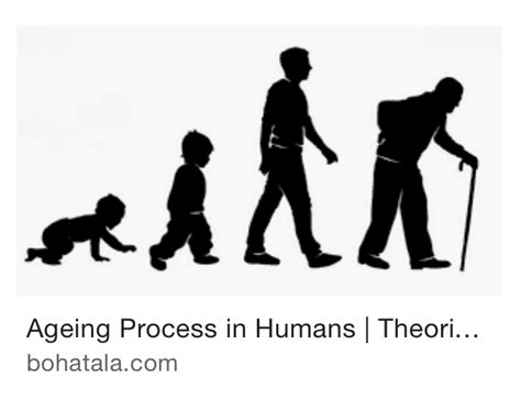 Ageing 的图像结果