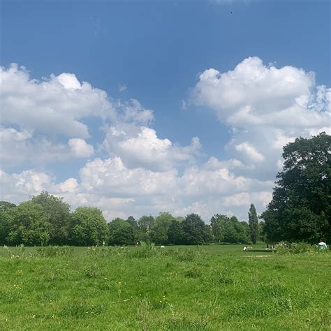 PECKHAM RYE PARK - All You Need to Know BEFORE You Go 2026 (with Photos ...