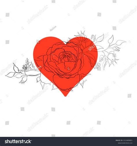 Heart Rose Drawing Rose Flower One Stock Illustration 2112609851 ...