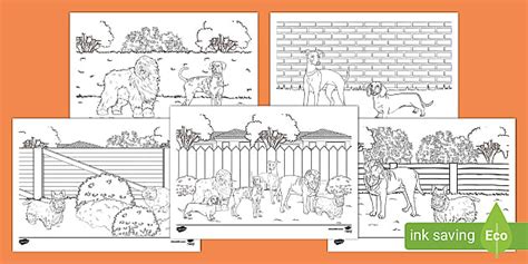 Hairy Maclary Colouring Pages for Kids (teacher made)