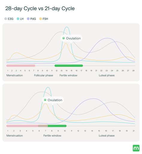21-Day Menstrual Cycle: Causes, Symptoms, and When to Worry – Mira Fertility Shop