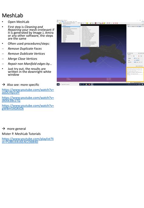 Image result for MeshLab Output