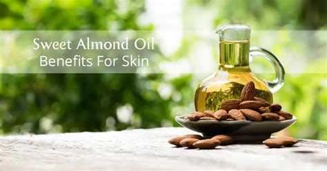 7 Sweet Almond Oil Benefits For Skin & Hair – AreoVeda