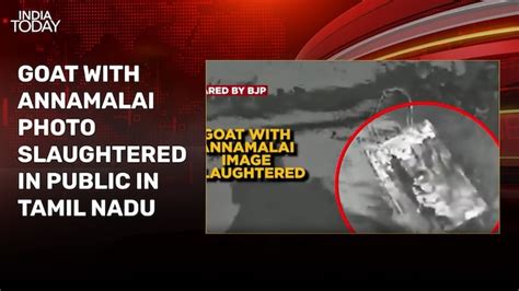 CVR of crashed AI plane found - India Today