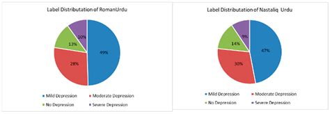 RUDA-2025: Depression Severity Detection Using Pre-Trained Transformers ...