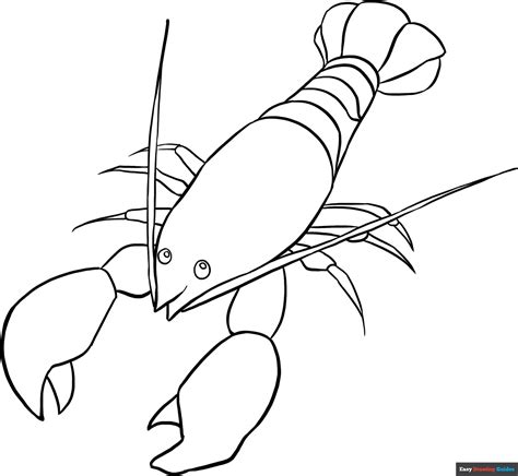 Image result for Simple Lobster Drawing