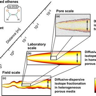 Image result for Environment Diffuse Scale Demonstration