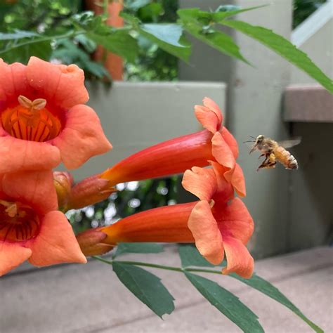 Boulder Guest House (@boulderguesthouse) • Instagram photos and videos