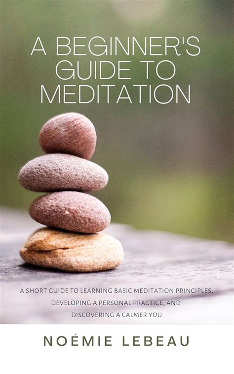 A Beginner's Guide to Meditation : A Short Guide to Learning Basic ...