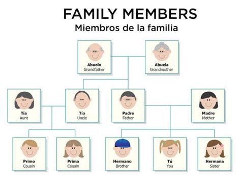 My Family In Spanish Translation - Uno