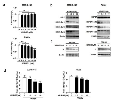 Pathogens | Special Issue : Advances in Important Mammalian Viruses ...