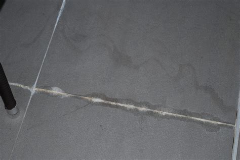 Image result for Efflorescence Repair