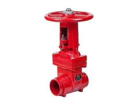 Image result for Fire Control Valve