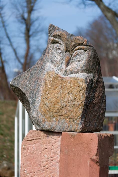 Free Images : rock, wood, wildlife, statue, garden, owl, fauna, bird of ...