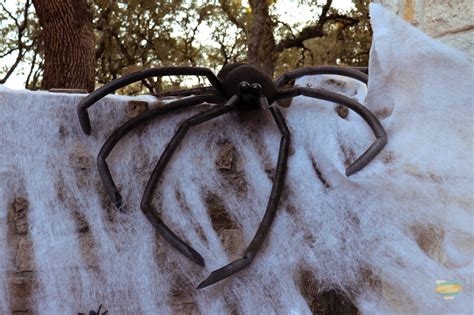 DIy spider - Fairfield World