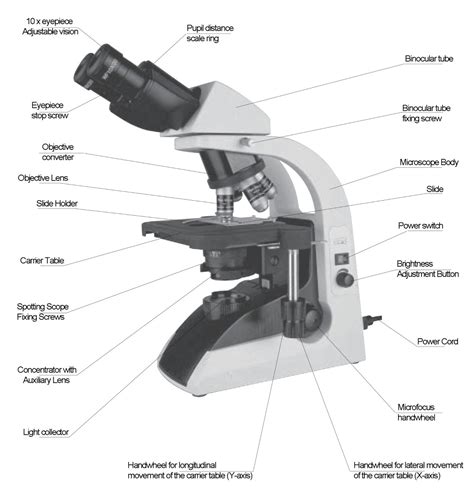 microscope-definition-function-structure-classification-and-different ...