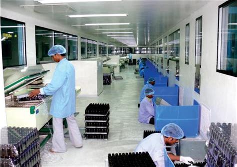 Industries in Daman, Industrial Development in Daman