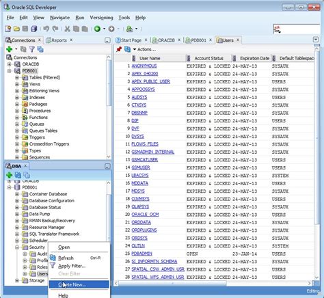 Image result for Oracle SQL Developer 12C