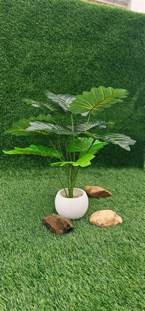 Artificial Monstera plant, also known as a Swiss Cheese Plant