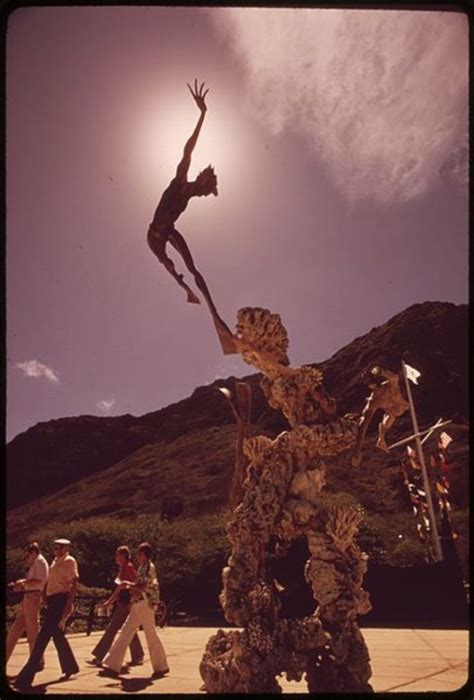Sea Life Park Hawaii, hawaii, usa, United States Of America - Top ...