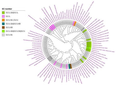 α-L-Fucosidases from an Alpaca Faeces Metagenome: Characterisation of ...