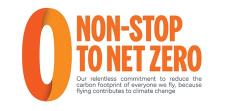 Image result for NetZero Initiative Logo