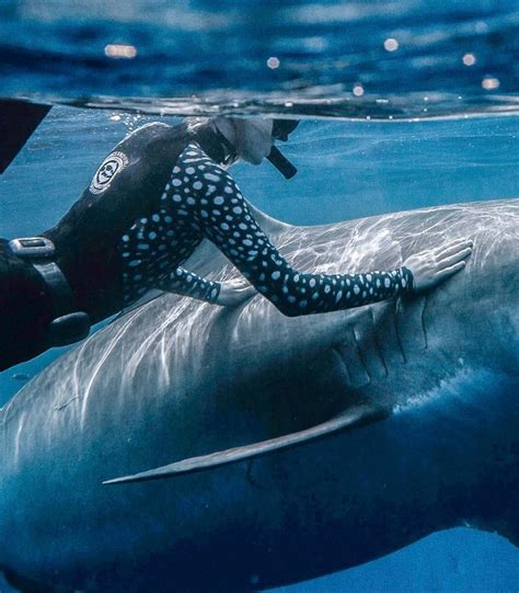 madi ruve | i think it’s shark week :) if you are new here i spent most my working life on shark ...